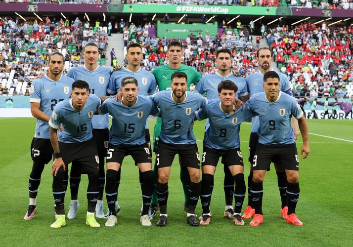 乌拉圭世界杯2014