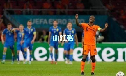 直播:荷兰VS奥地利的相关图片